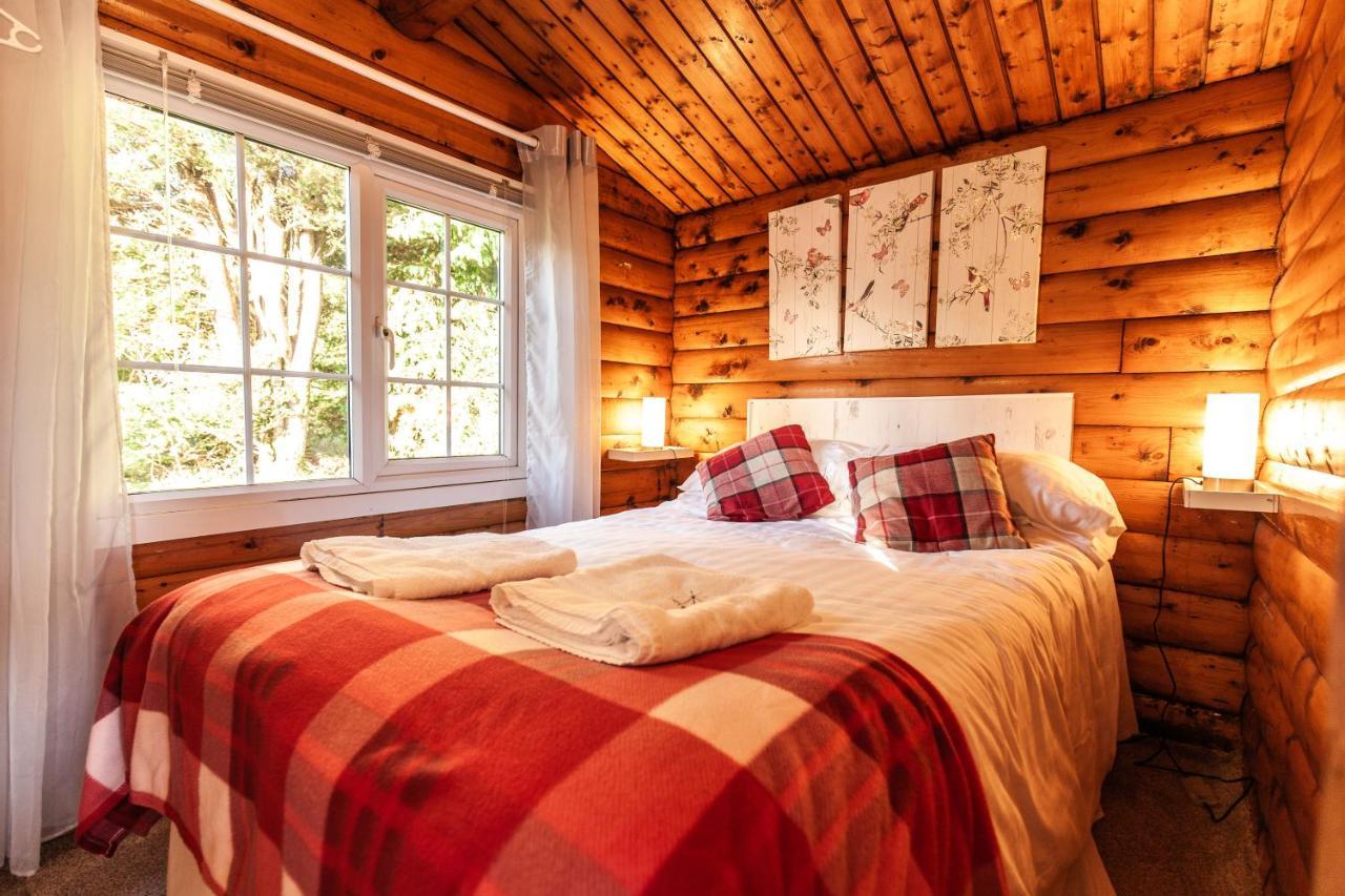 Welsh Retreat 2 Bedroom Log Cabin - Seren Property Trawsfynydd Exteriér fotografie