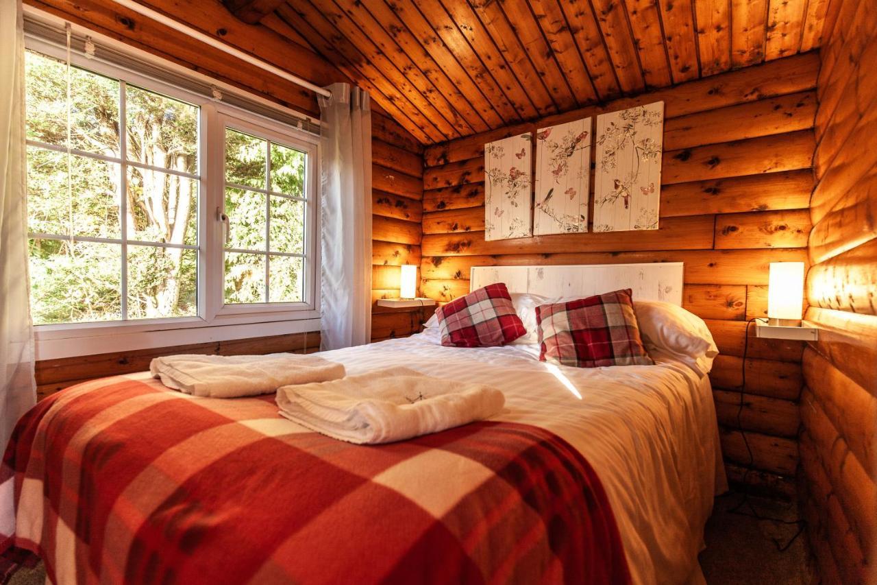 Welsh Retreat 2 Bedroom Log Cabin - Seren Property Trawsfynydd Exteriér fotografie