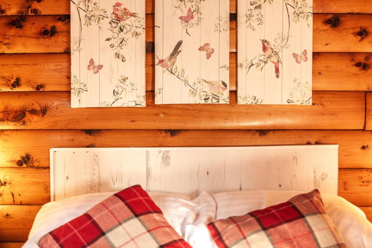 Welsh Retreat 2 Bedroom Log Cabin - Seren Property Trawsfynydd Exteriér fotografie