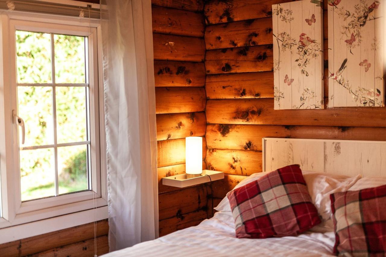 Welsh Retreat 2 Bedroom Log Cabin - Seren Property Trawsfynydd Exteriér fotografie